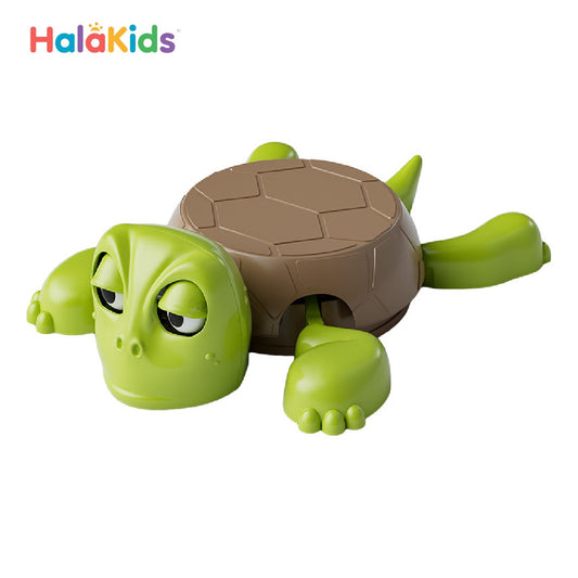 Open Eyed Turtle Funny Tea Coaster